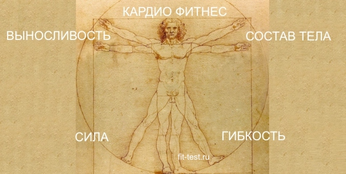 фигура Леонардо с компонентами фитнеса