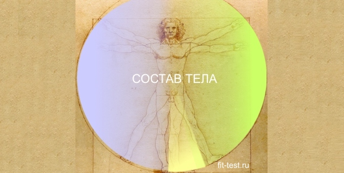 фигура Леонардо и состав тела