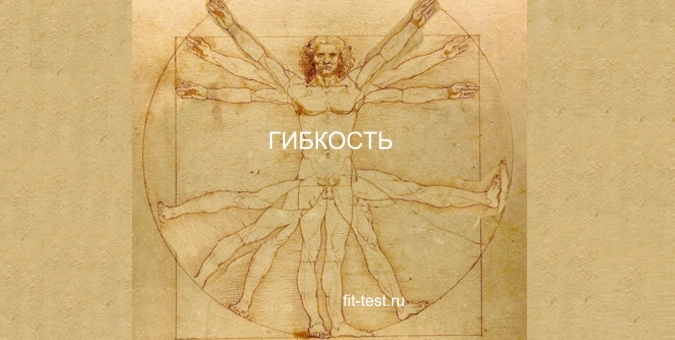 фигура Леонардо и гибкость