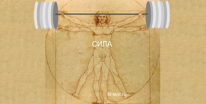 фигура Леонардо и сила
