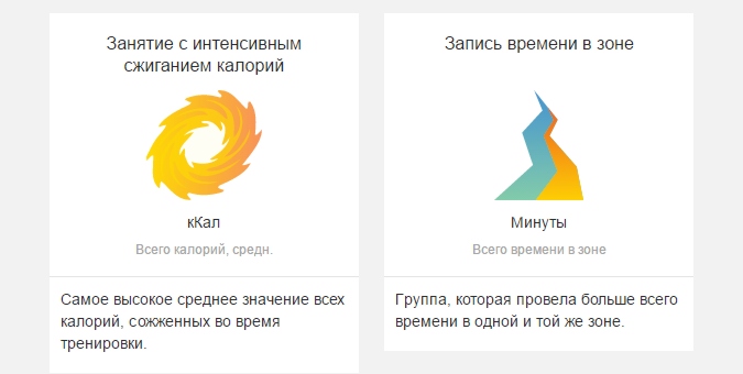 отчеты для менеджера клуба
